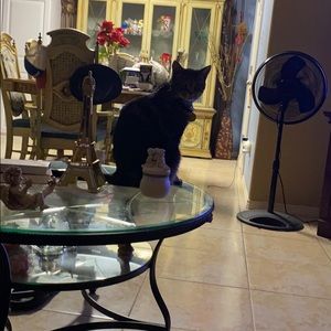 Meet your Posher, Sandra